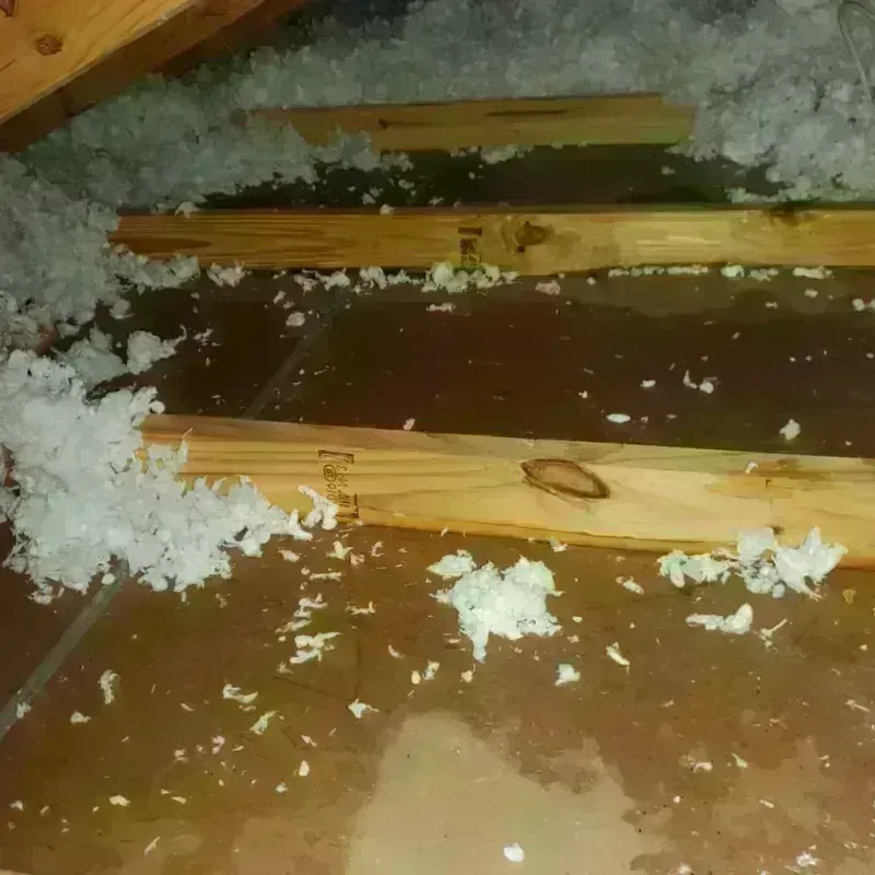 Attic Water Damage in Warren Park, IN